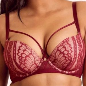 Adore Me Sparrow Lined Underwire Lace bra 40DD EUC